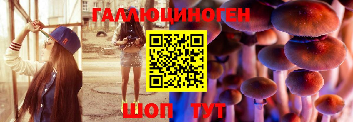 Псилоцибиновые грибы GOLDEN TEACHER Кулебаки